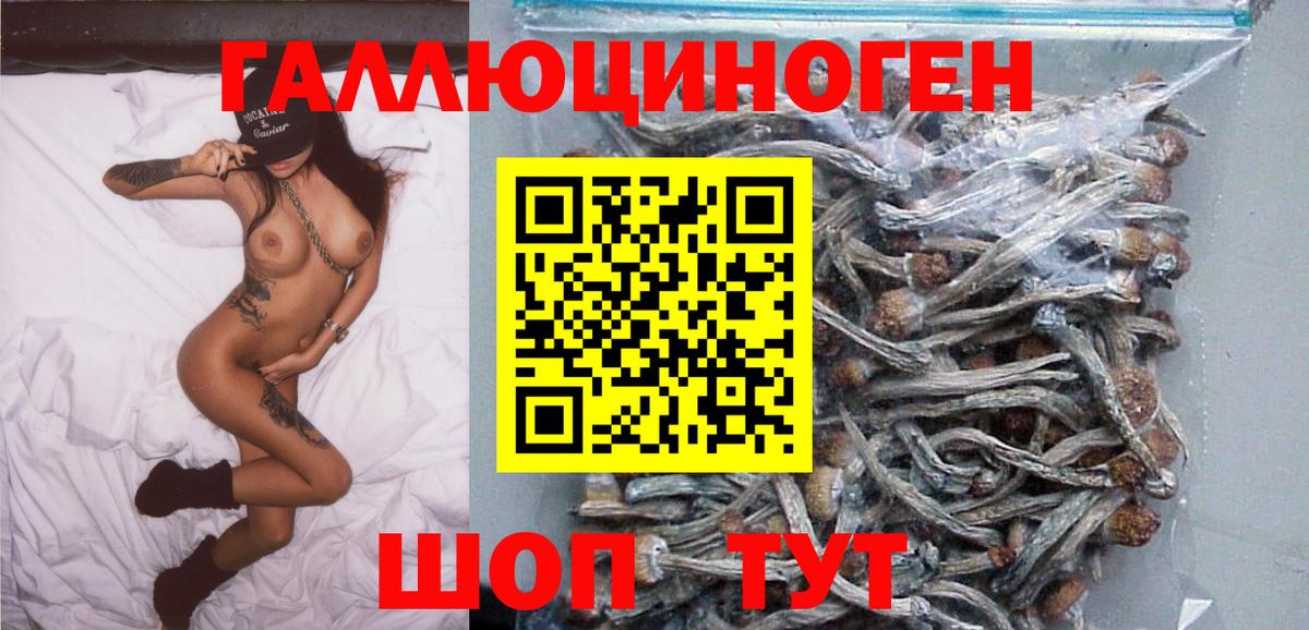Галлюциногенные грибы Psilocybe Лыткарино